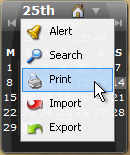 print menu item screenshot